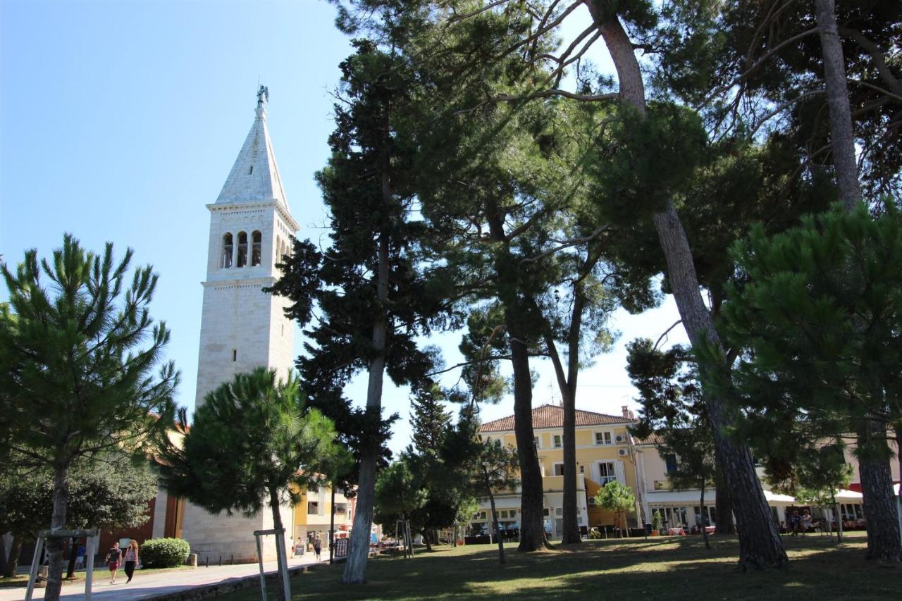 Novigrad IstriaIrena A2公寓 外观 照片