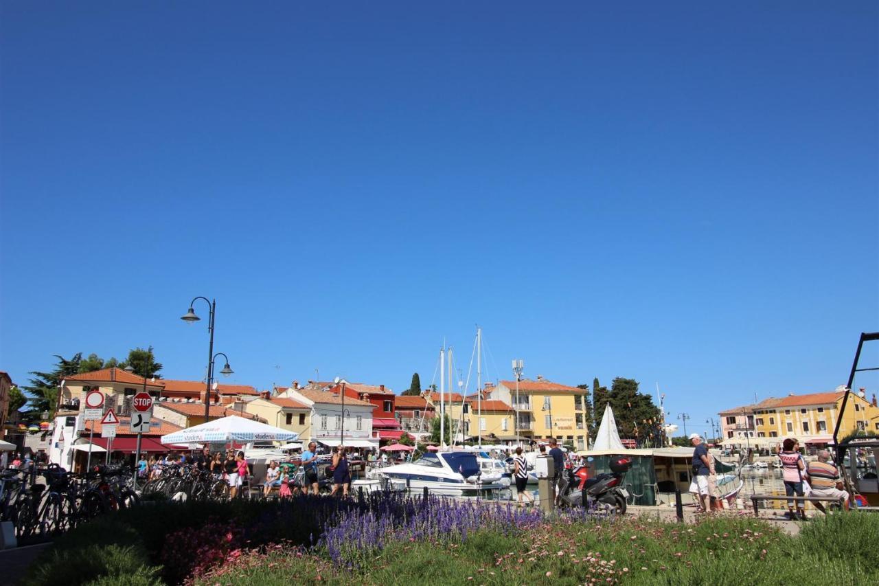 Novigrad IstriaIrena A2公寓 外观 照片